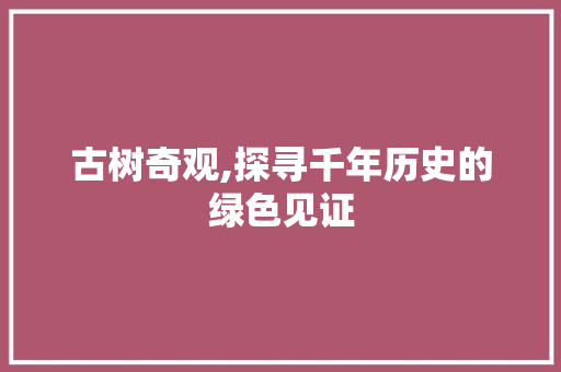 古树奇观,探寻千年历史的绿色见证