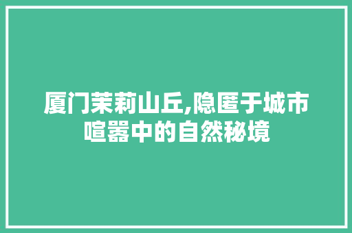 厦门茉莉山丘,隐匿于城市喧嚣中的自然秘境