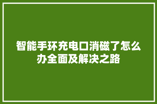 智能手环充电口消磁了怎么办全面及解决之路