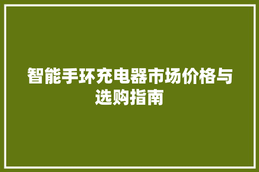 智能手环充电器市场价格与选购指南  第1张