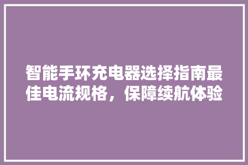 智能手环充电器选择指南最佳电流规格，保障续航体验