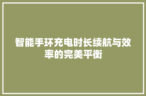 智能手环充电时长续航与效率的完美平衡