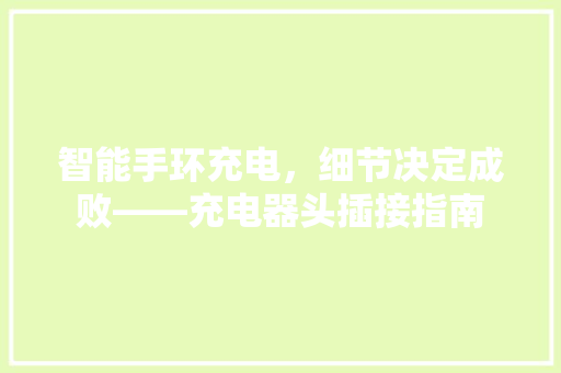 智能手环充电，细节决定成败——充电器头插接指南  第1张