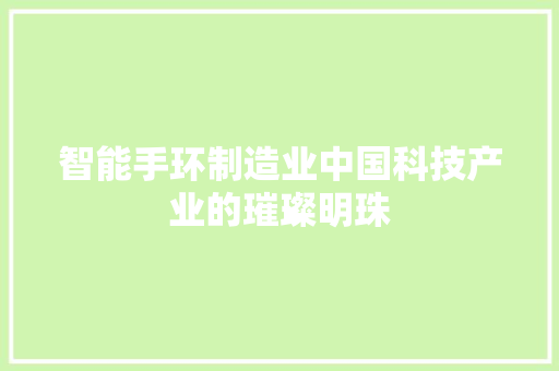 智能手环制造业中国科技产业的璀璨明珠  第1张