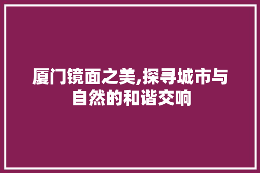 厦门镜面之美,探寻城市与自然的和谐交响