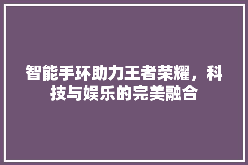 智能手环助力王者荣耀，科技与娱乐的完美融合