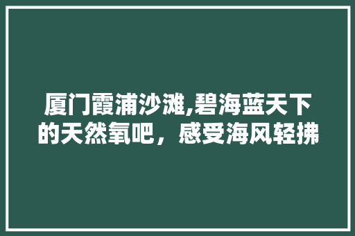 厦门霞浦沙滩,碧海蓝天下的天然氧吧，感受海风轻拂的魅力