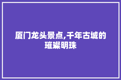 厦门龙头景点,千年古城的璀璨明珠