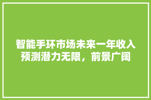 智能手环市场未来一年收入预测潜力无限，前景广阔