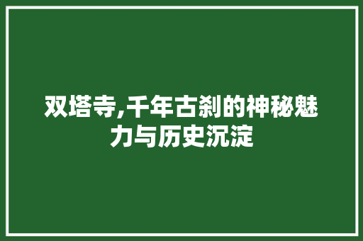 双塔寺,千年古刹的神秘魅力与历史沉淀  第1张