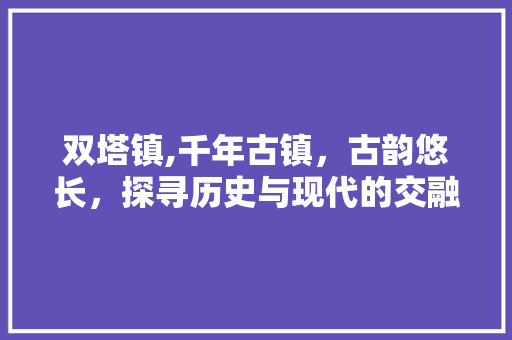 双塔镇,千年古镇，古韵悠长，探寻历史与现代的交融之地