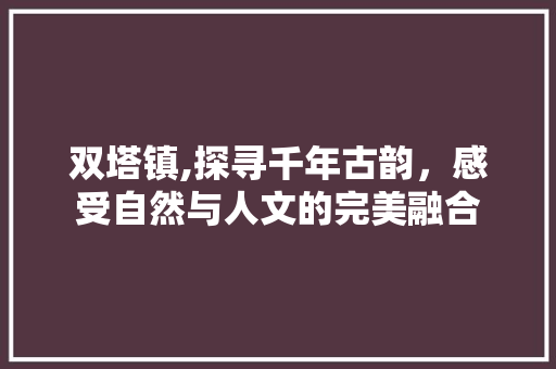 双塔镇,探寻千年古韵，感受自然与人文的完美融合