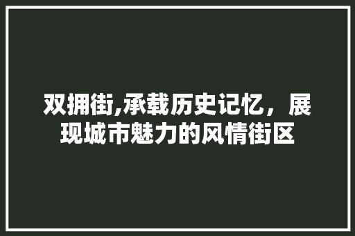 双拥街,承载历史记忆，展现城市魅力的风情街区