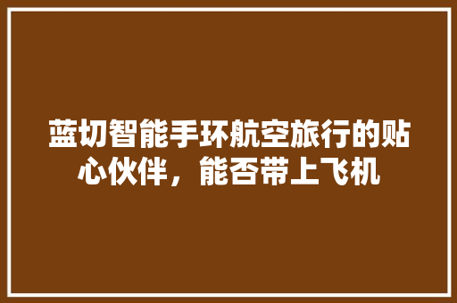 蓝切智能手环航空旅行的贴心伙伴，能否带上飞机