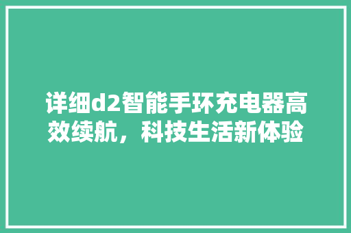 详细d2智能手环充电器高效续航，科技生活新体验