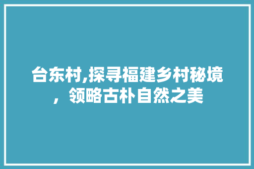 台东村,探寻福建乡村秘境，领略古朴自然之美