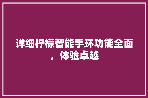 详细柠檬智能手环功能全面，体验卓越  第1张