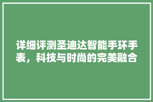 详细评测圣迪达智能手环手表，科技与时尚的完美融合