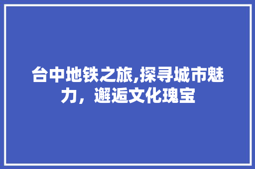 台中地铁之旅,探寻城市魅力，邂逅文化瑰宝