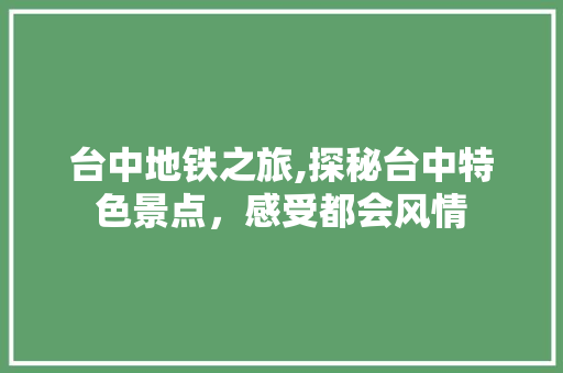 台中地铁之旅,探秘台中特色景点，感受都会风情