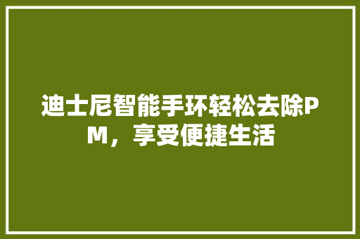 迪士尼智能手环轻松去除PM，享受便捷生活