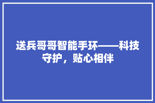 送兵哥哥智能手环——科技守护，贴心相伴