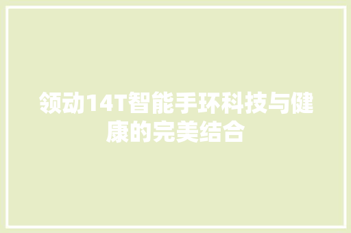 领动14T智能手环科技与健康的完美结合