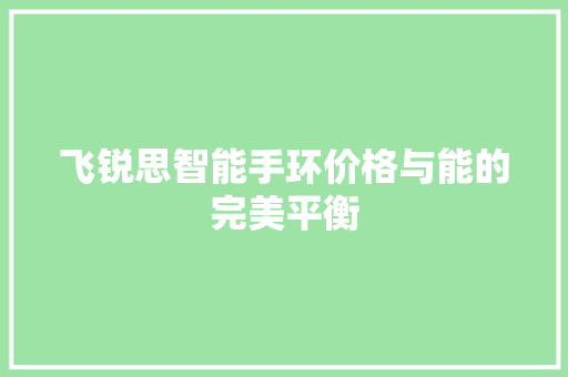 飞锐思智能手环价格与能的完美平衡