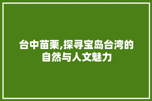 台中苗栗,探寻宝岛台湾的自然与人文魅力