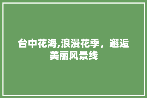 台中花海,浪漫花季，邂逅美丽风景线