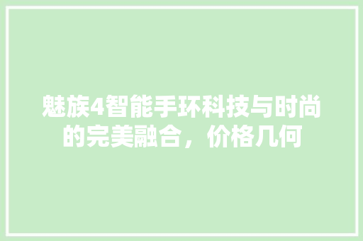 魅族4智能手环科技与时尚的完美融合，价格几何