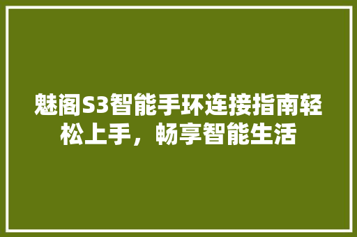 魅阁S3智能手环连接指南轻松上手，畅享智能生活