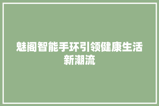 魅阁智能手环引领健康生活新潮流