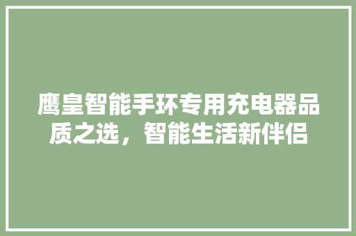 鹰皇智能手环专用充电器品质之选，智能生活新伴侣