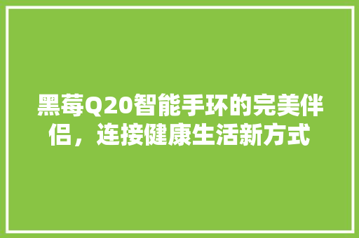 黑莓Q20智能手环的完美伴侣，连接健康生活新方式