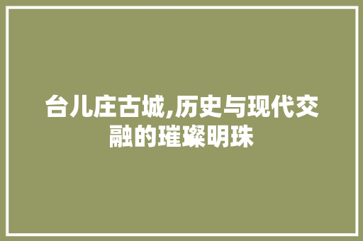 台儿庄古城,历史与现代交融的璀璨明珠