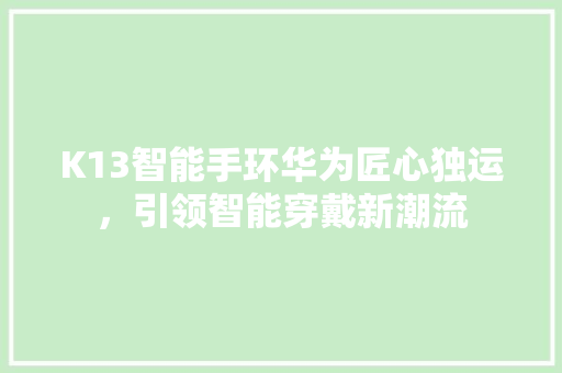 K13智能手环华为匠心独运，引领智能穿戴新潮流  第1张