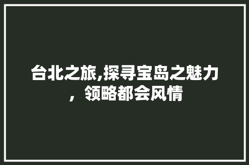 台北之旅,探寻宝岛之魅力，领略都会风情