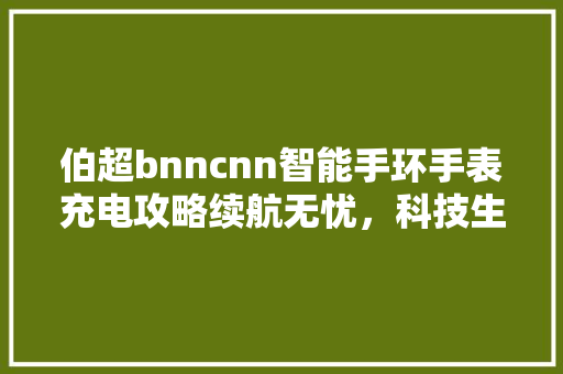 伯超bnncnn智能手环手表充电攻略续航无忧，科技生活更便捷