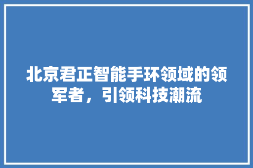 北京君正智能手环领域的领军者，引领科技潮流