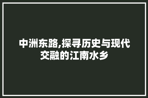 中洲东路,探寻历史与现代交融的江南水乡