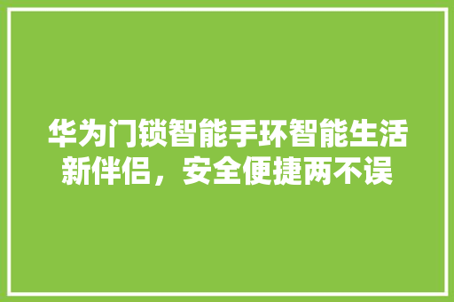 华为门锁智能手环智能生活新伴侣，安全便捷两不误