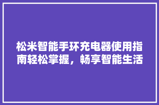 松米智能手环充电器使用指南轻松掌握，畅享智能生活