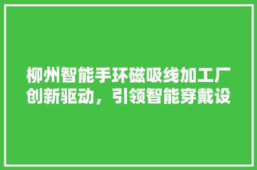 柳州智能手环磁吸线加工厂创新驱动，引领智能穿戴设备制造新潮流