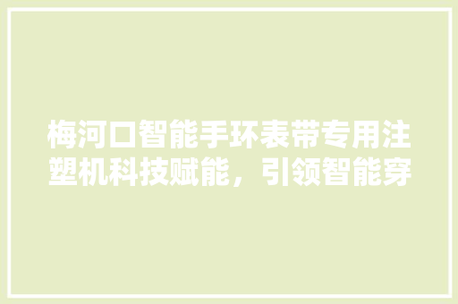 梅河口智能手环表带专用注塑机科技赋能，引领智能穿戴行业新潮流