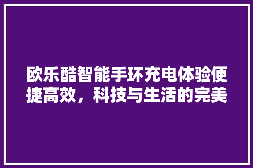 欧乐酷智能手环充电体验便捷高效，科技与生活的完美融合