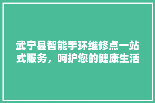 武宁县智能手环维修点一站式服务，呵护您的健康生活助手  第1张