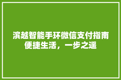 滨越智能手环微信支付指南便捷生活，一步之遥