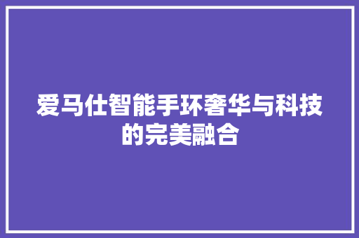 爱马仕智能手环奢华与科技的完美融合