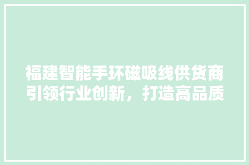 福建智能手环磁吸线供货商引领行业创新，打造高品质供应链